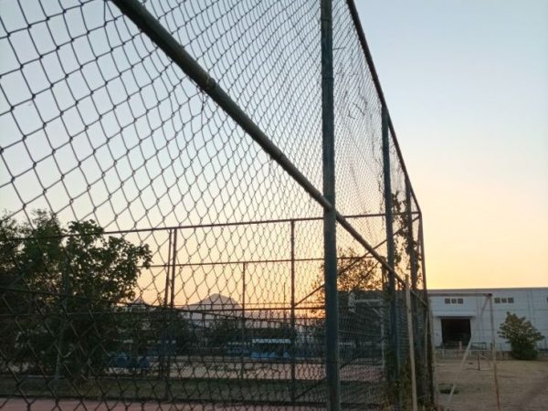 شبوك — شبوك تحويش في جدة